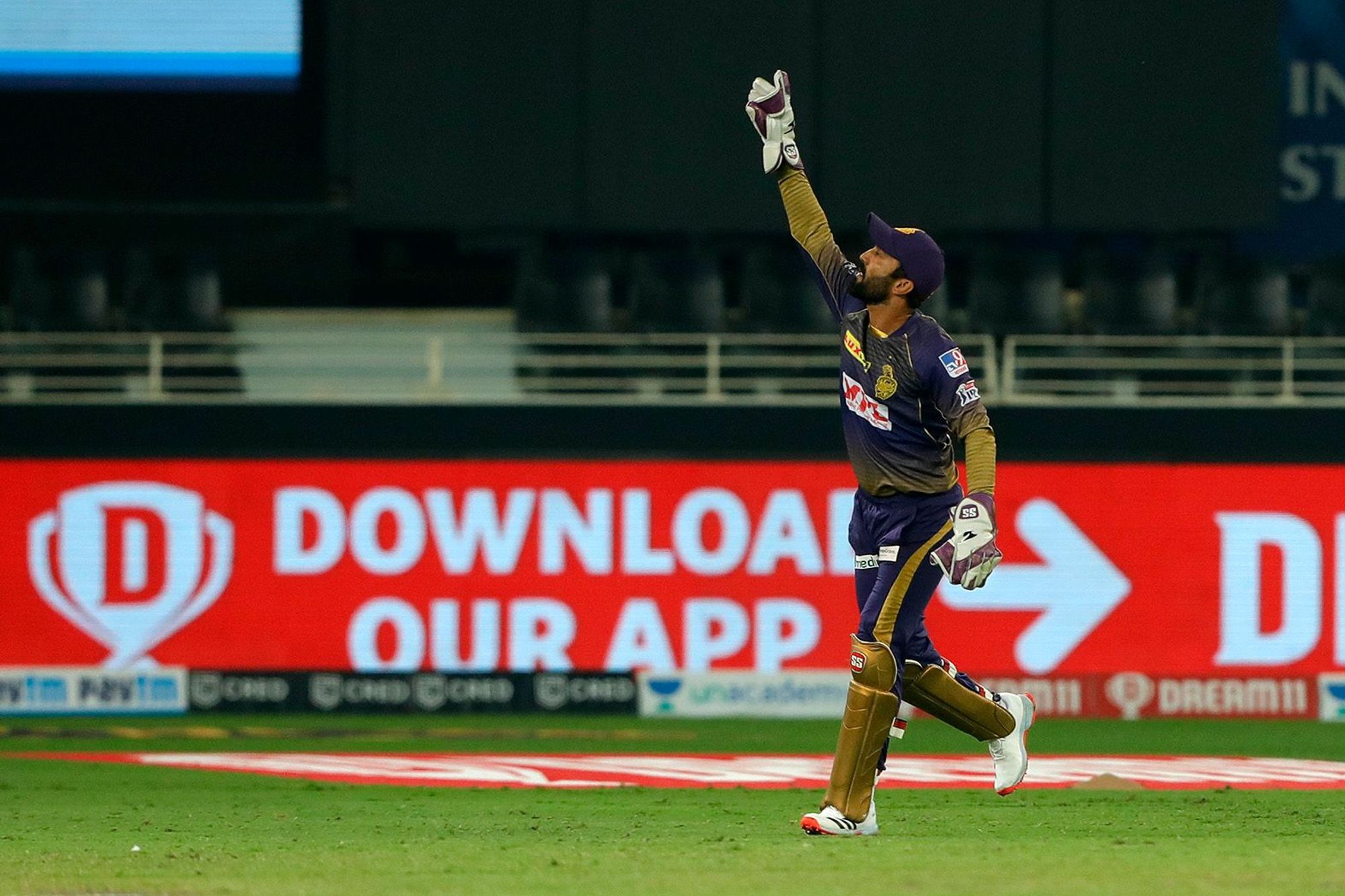 Dinesh Karthik grabbed the catch of the season