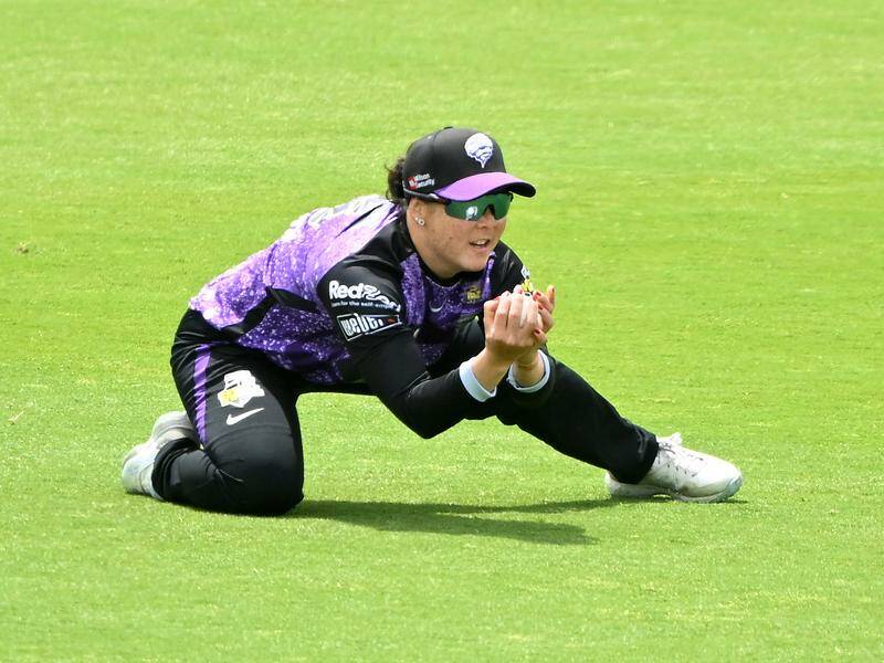 WBBL | Twitter in splits as Lauren Smith cannot believe herself after holding onto simplest of catches