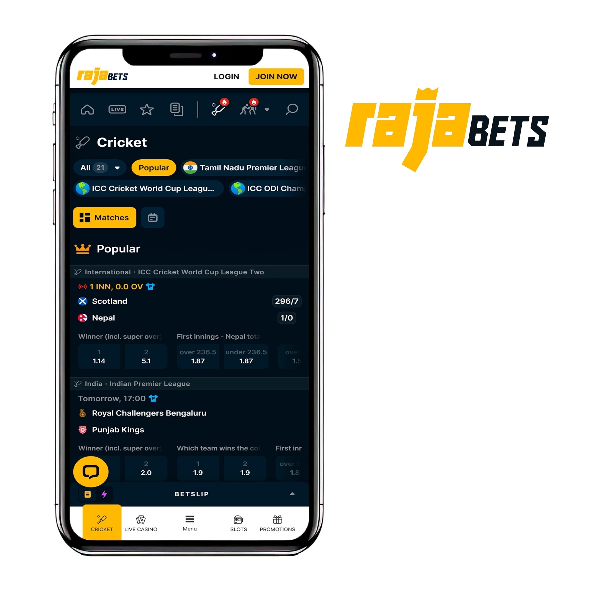 The Rajabets app allows you to bet on cricket by making deposits using cryptocurrency methods.