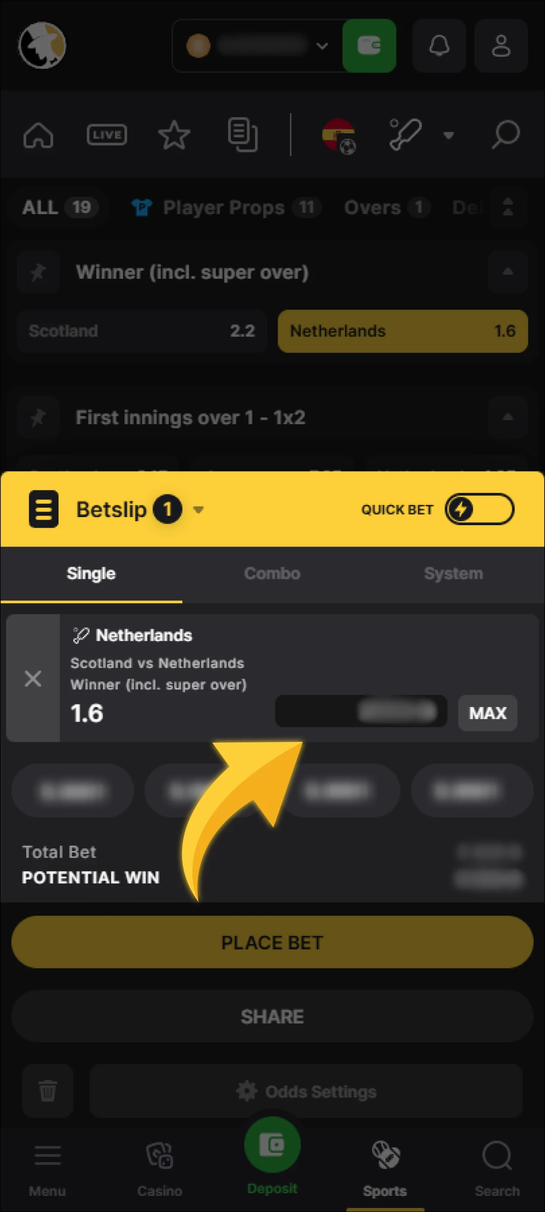 Once the odds are selected, enter the amount to bet on the chosen option.