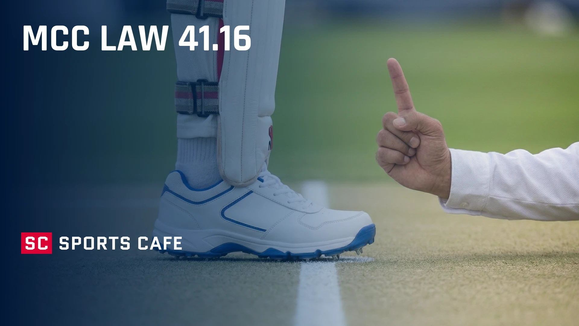 mcc-law-41-16.