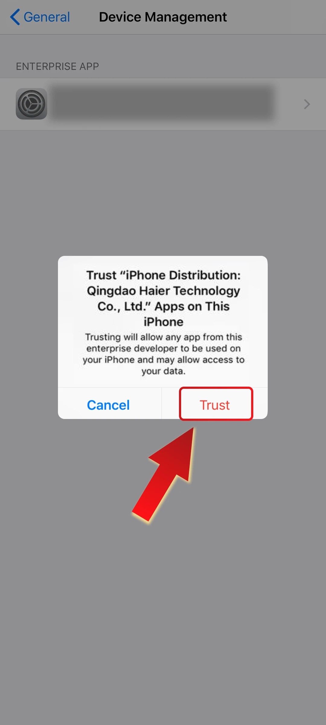 Go to Settings, open “General”, then “Device Management,” and trust the Rich11 developer profile.